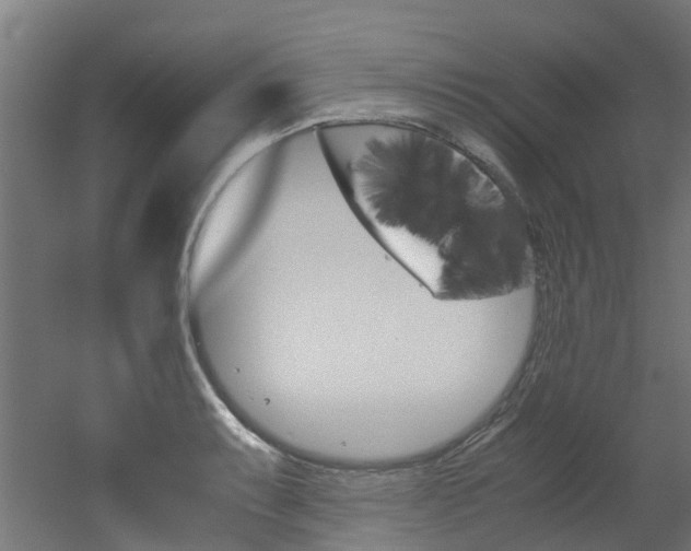 X0000051871087200506241022