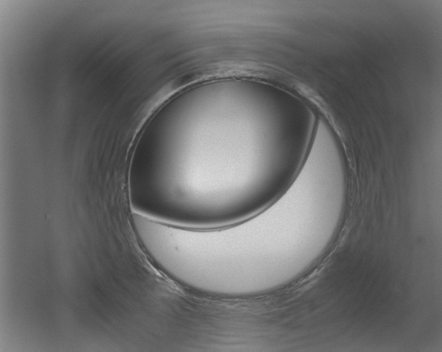 X0000051871089200506241022