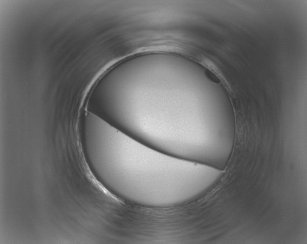 X0000051871092200506241022