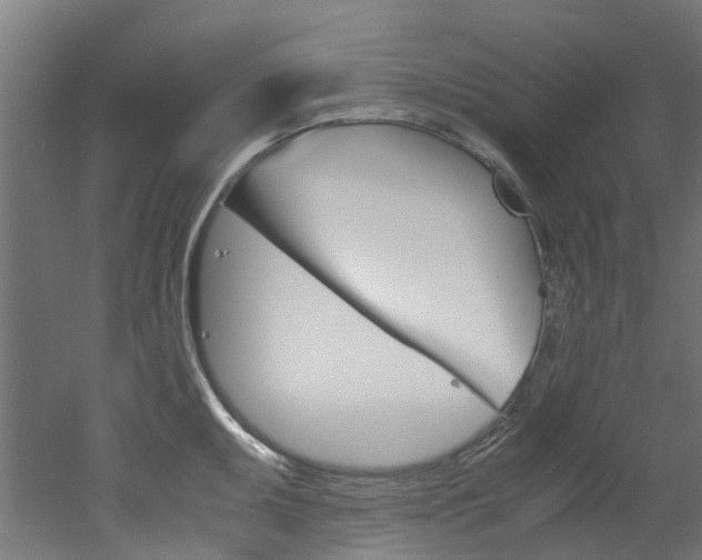 X0000051871095200506241022