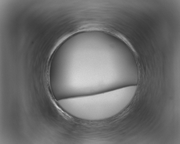 X0000051871101200506241022