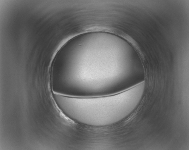 X0000051871102200506241022