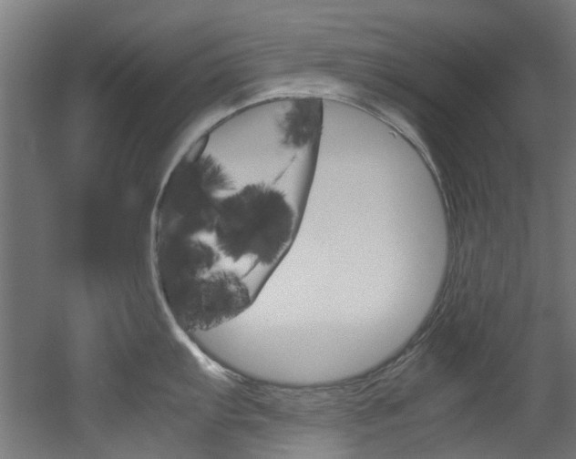X0000051871103200506241022