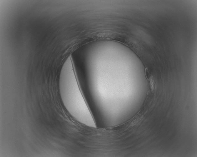 X0000051871107200506241021