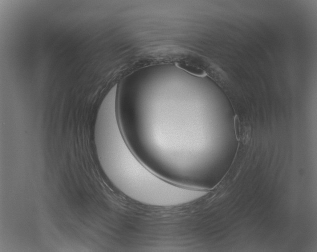 X0000051871108200506241021