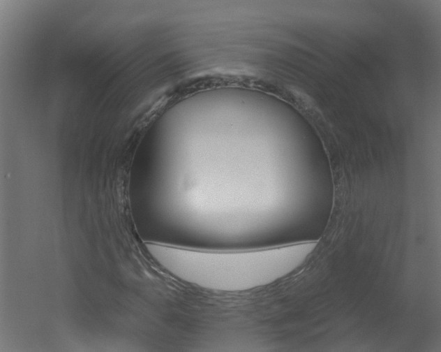 X0000051871110200506241021