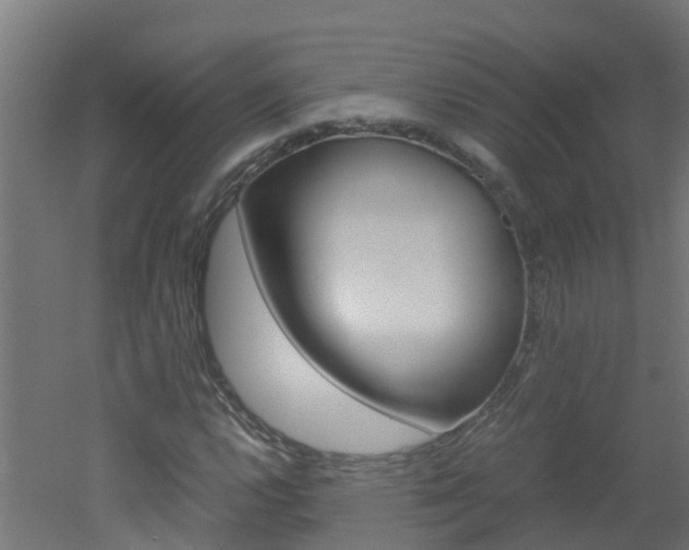 X0000051871112200506241021