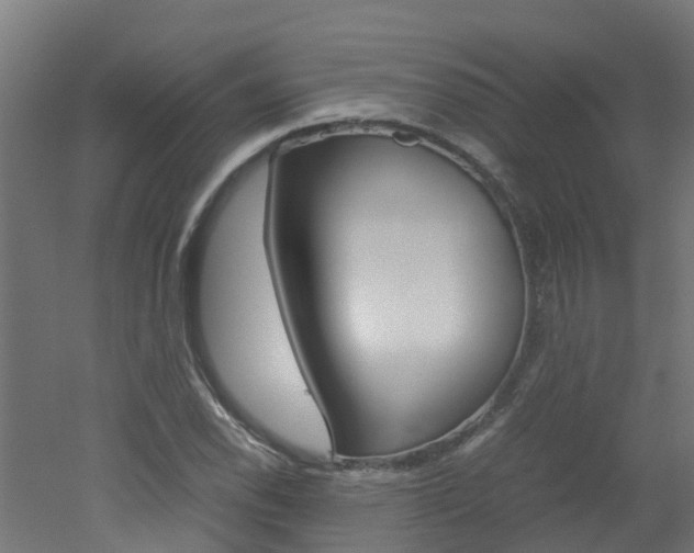 X0000051871118200506241021