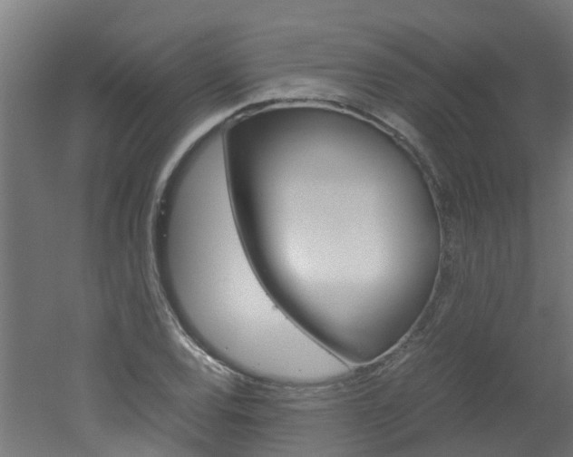 X0000051871120200506241021