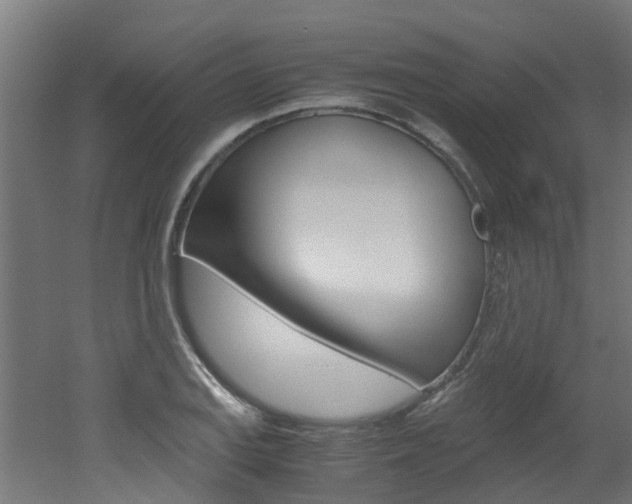 X0000051871127200506241021