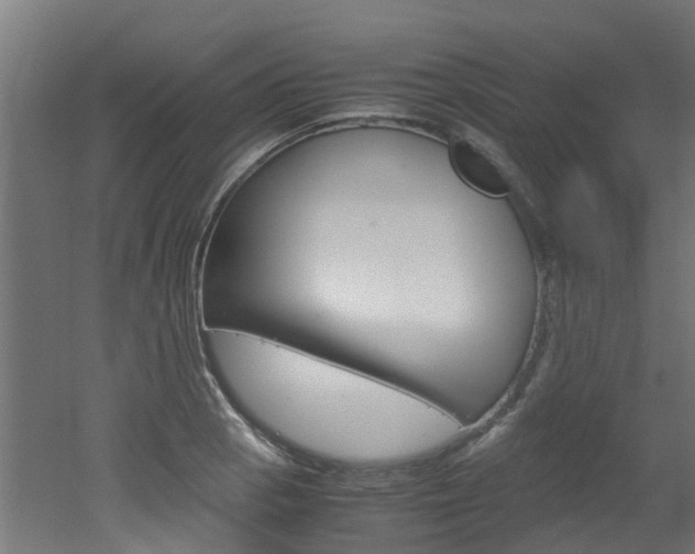 X0000051871129200506241021