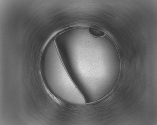 X0000051871131200506241021
