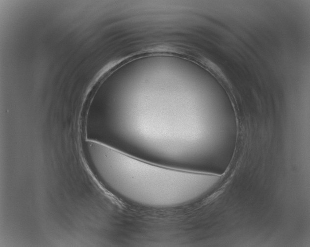 X0000051871133200506241021