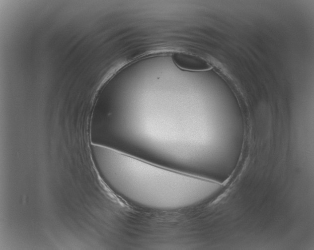 X0000051871137200506241021