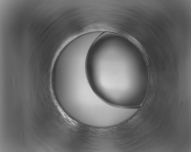 X0000051871144200506241021