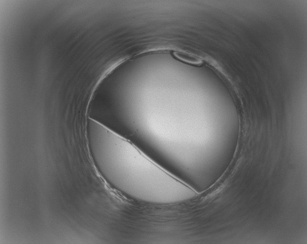 X0000051871145200506241021