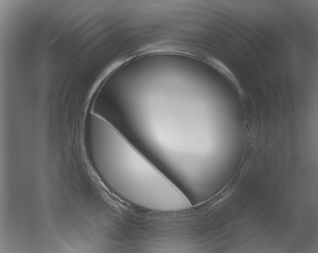 X0000051871146200506241021
