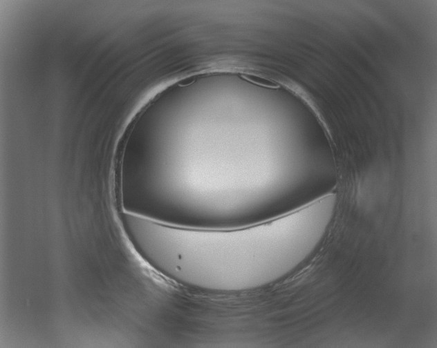 X0000051871147200506241021