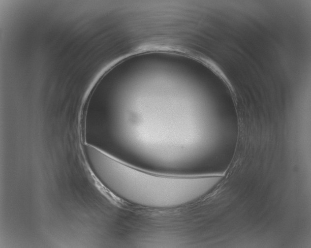 X0000051871148200506241021
