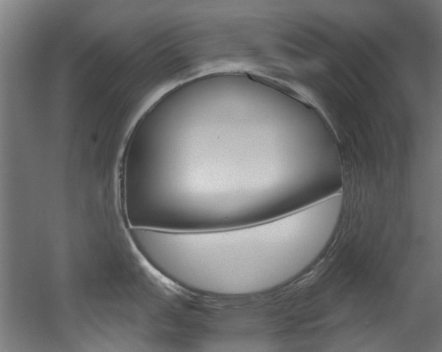 X0000051871151200506241022