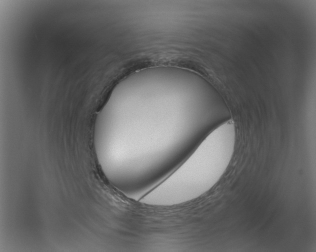 X0000051871153200506241021