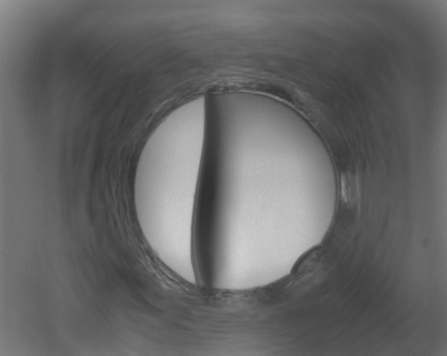 X0000051871155200506241021
