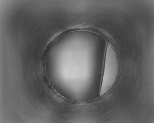 X0000051871160200506241021