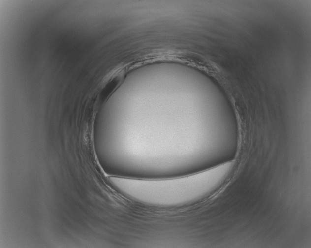 X0000051871161200506241021