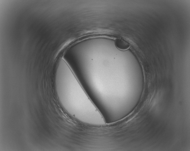 X0000051871163200506241021