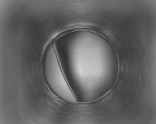 X0000051871164200506241021