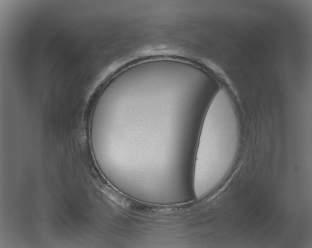 X0000051871167200506241020