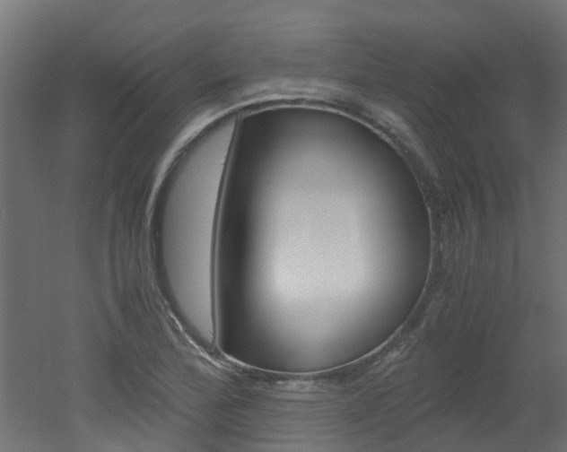 X0000051871172200506241020