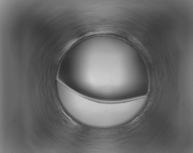 X0000051871177200506241020
