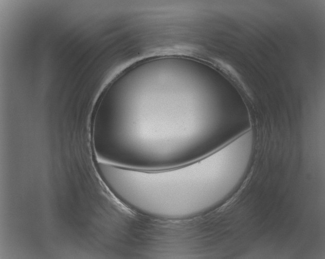 X0000051871184200506241020