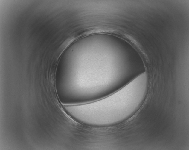 X0000051871185200506241020