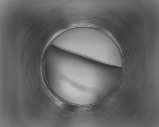 X0000051871187200506241020