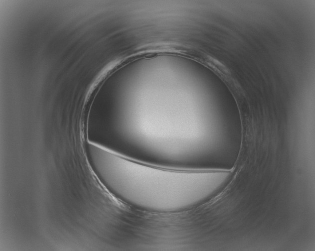 X0000051871188200506241020