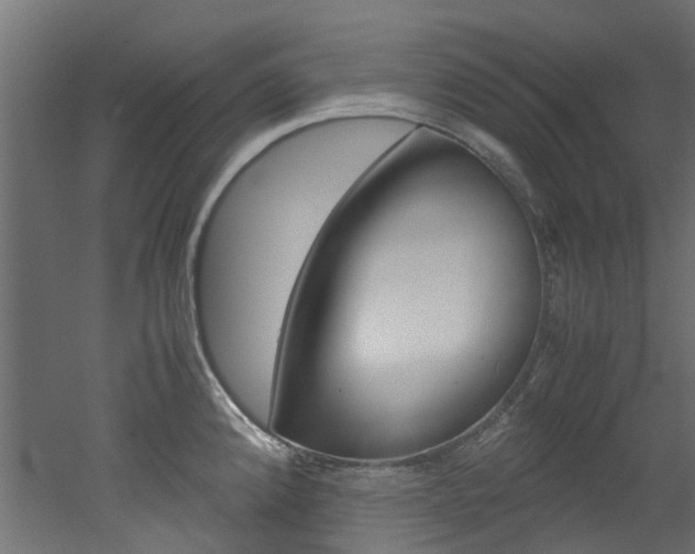 X0000051871192200506241020