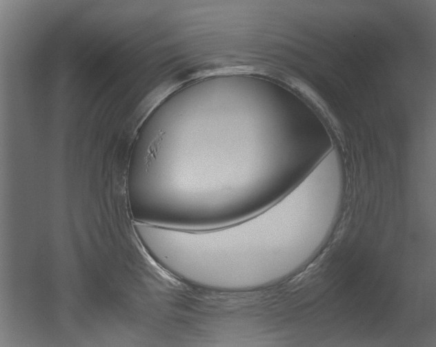 X0000051871193200506241020