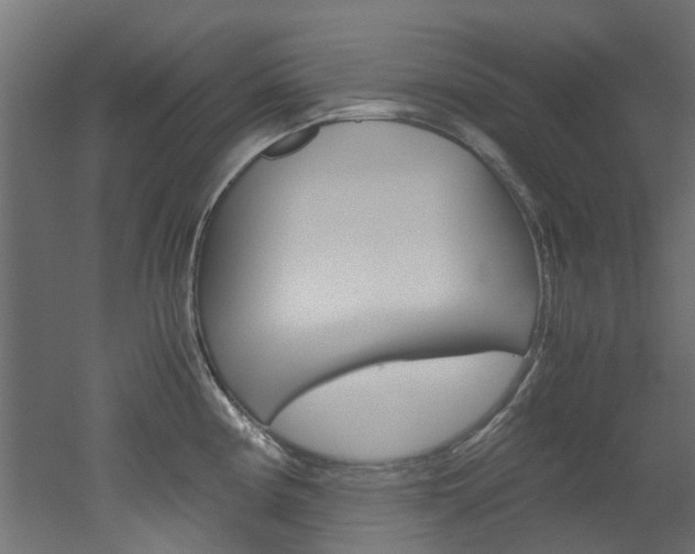 X0000051871194200506241020