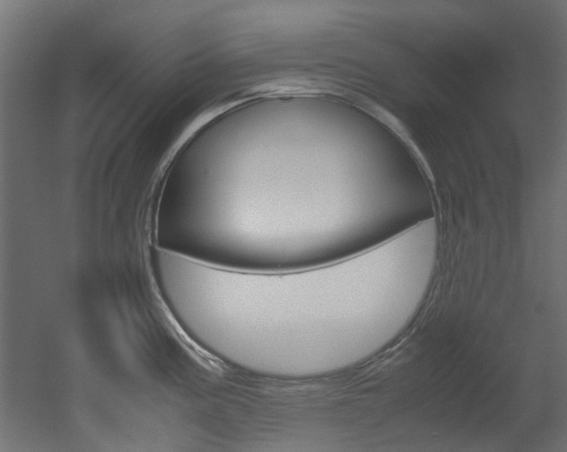 X0000051871195200506241020