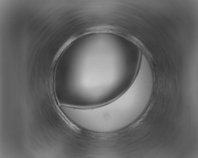 X0000051871196200506241020