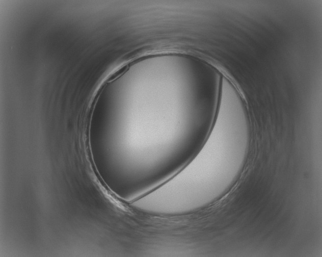 X0000051871197200506241020
