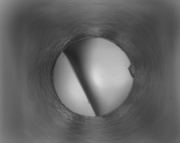 X0000051871201200506241019