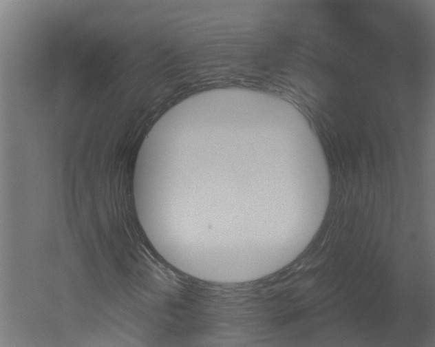 X0000051871202200506241019