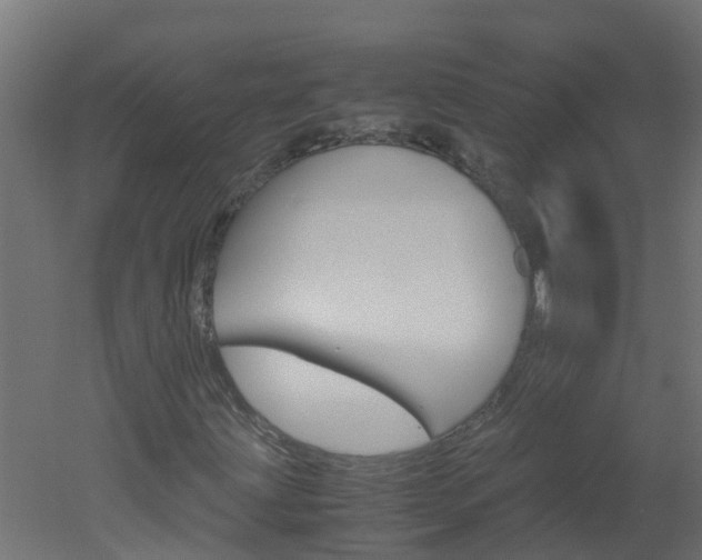 X0000051871203200506241019