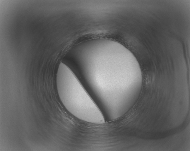 X0000051871204200506241019