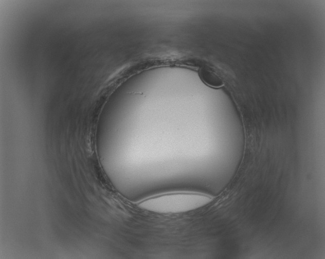 X0000051871205200506241019