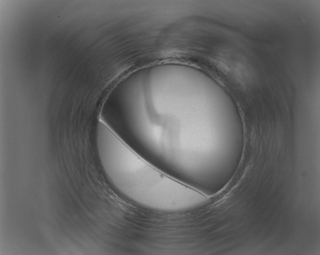 X0000051871209200506241019