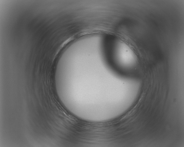 X0000051871210200506241019